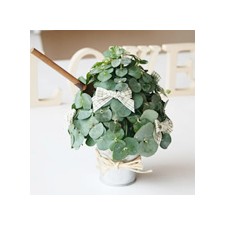 2007년 플로리스트 6월호 잡지 - Cone Shape Deco