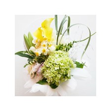 2008년 플로리스트 1월호 잡지 - Hand-tied