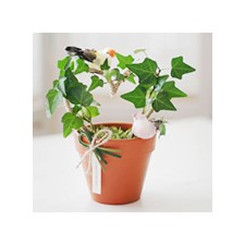 2009년 플로리스트 3월호 잡지 - IVY Mini Garden