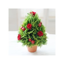 2009년 플로리스트 10월호 잡지 - Fruit &  Cone Shape Deco