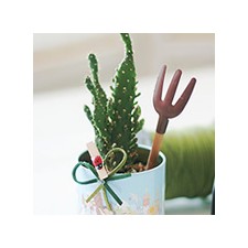 2009년 플로리스트 11월호 잡지 - Cactus Pot