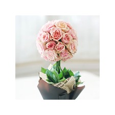 2009년 플로리스트 11월호 잡지 - Topiary