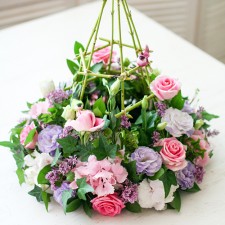 Bird Cage arrangement